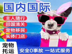 芒市空运公司国际宠物托运 【国